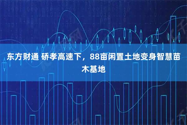 东方财通 硚孝高速下，88亩闲置土地变身智慧苗木基地