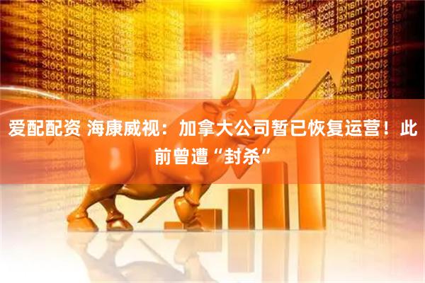 爱配配资 海康威视：加拿大公司暂已恢复运营！此前曾遭“封杀”