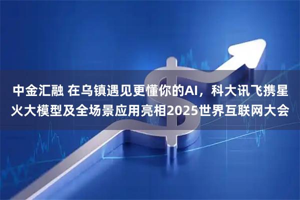 中金汇融 在乌镇遇见更懂你的AI，科大讯飞携星火大模型及全场景应用亮相2025世界互联网大会